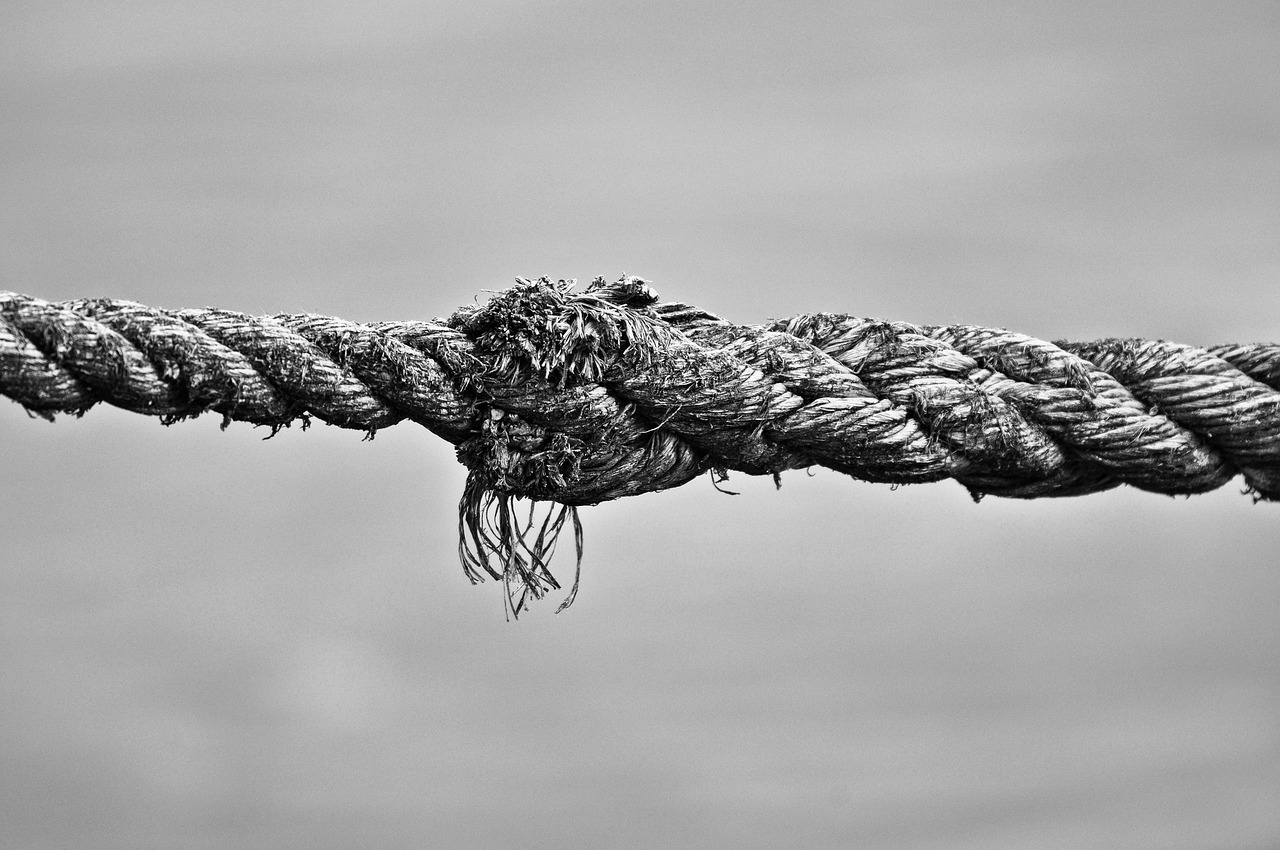 Drawing Parallels between Safety Measures and Human Behavior